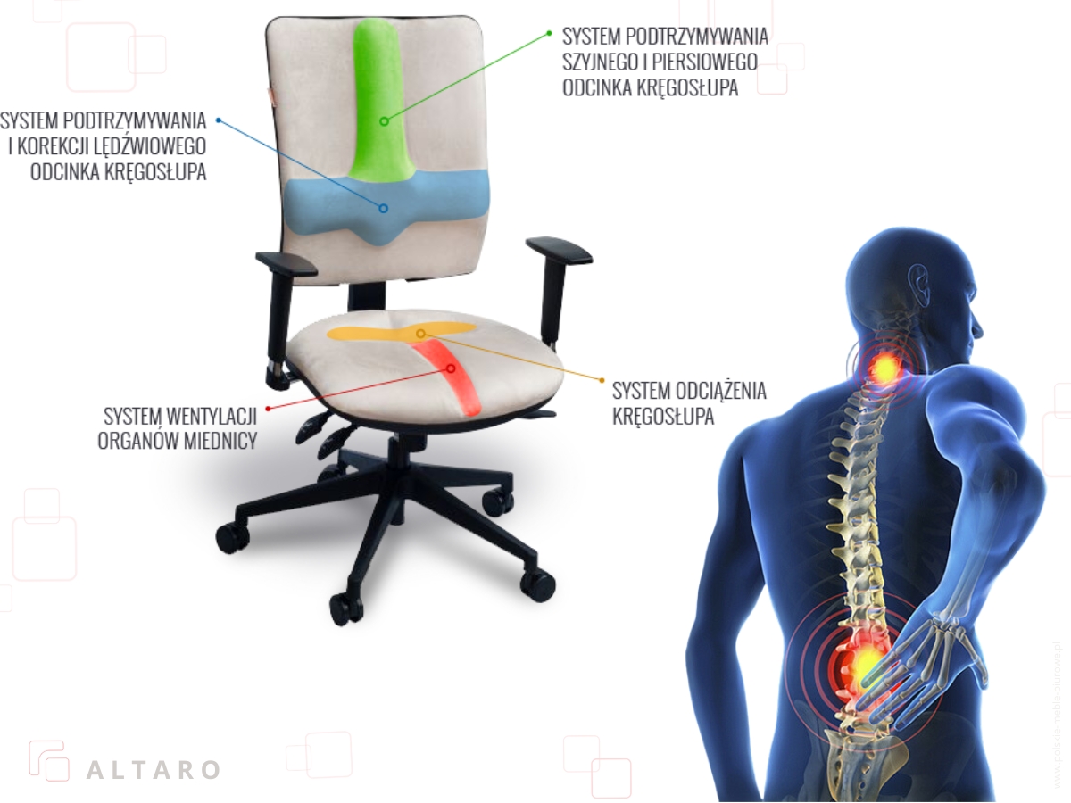 Krzesła i akcesoria profilaktyczno-rehabilitacyjne